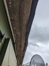 PXL_20240407_140154540.jpg
