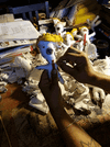 IMG_3450.gif