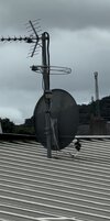 IMG_7337.jpeg