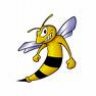 thehornets