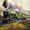 flyingscotsman19