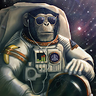 MonkeyMartian