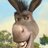 donkey69