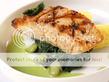 grilled_salmon_8x10_300dpi_p6229914.jpg