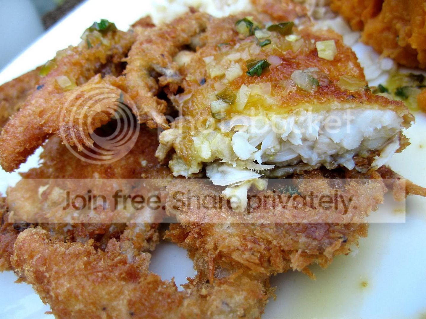 2k9__soft_shell_crab.jpg