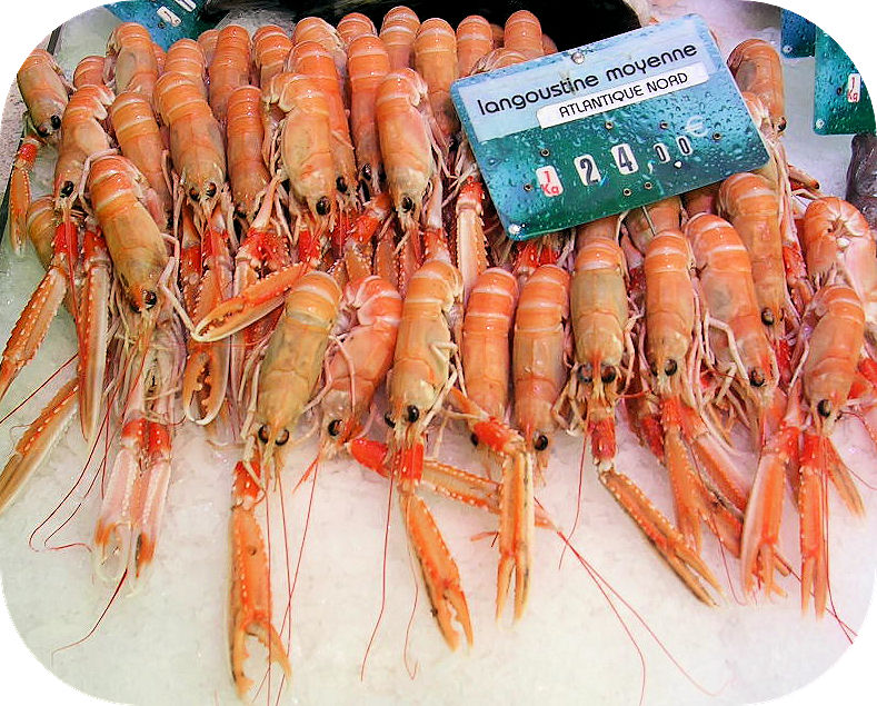 Langoustines_DC.jpg