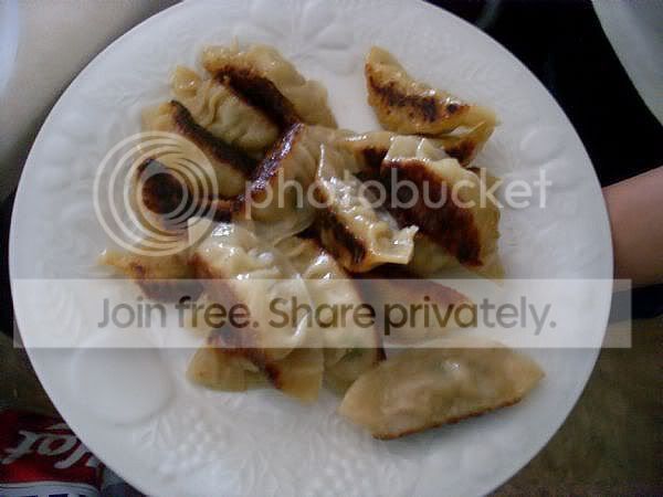 VegePot-stickers-main_Full.jpg