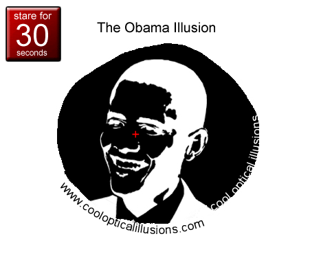 obama-illusion-animation.gif