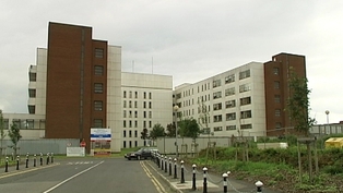 00041637-314.jpg