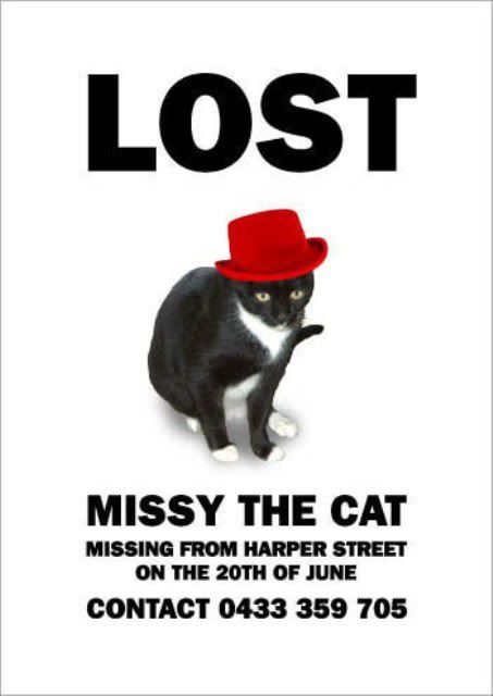 cat8.jpg