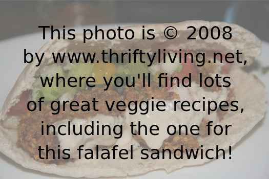 falafel-sandwich-reduced.jpg