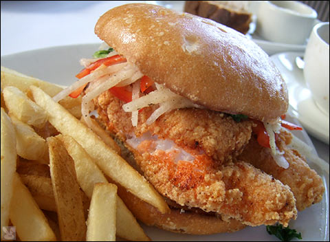 df08_12_20_fishw.jpg