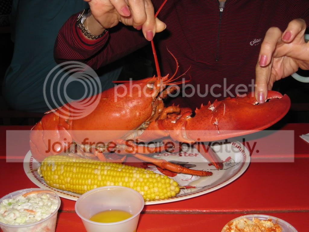 lobsterboiledlargepic.jpg