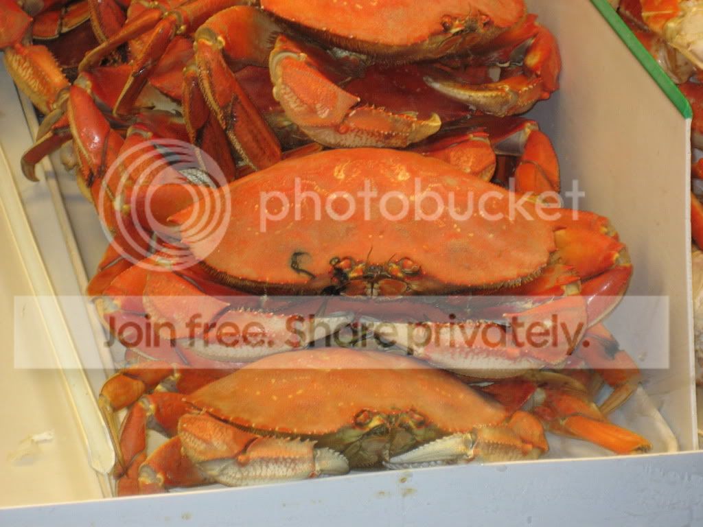 crab.jpg