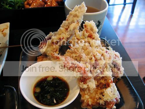 softshellcrab4.jpg