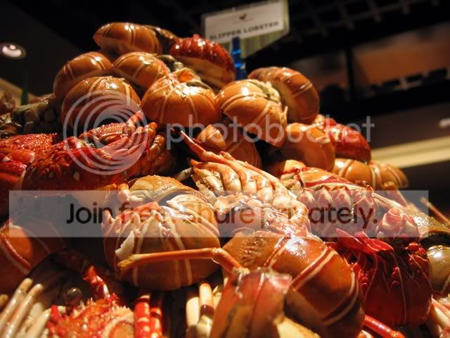 lobsterbuffet.jpg