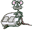 Crash2.gif