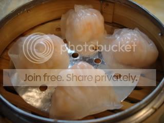 DSC04110.jpg