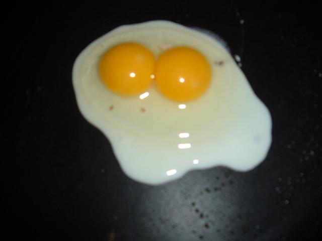 26580_egg_006.jpg
