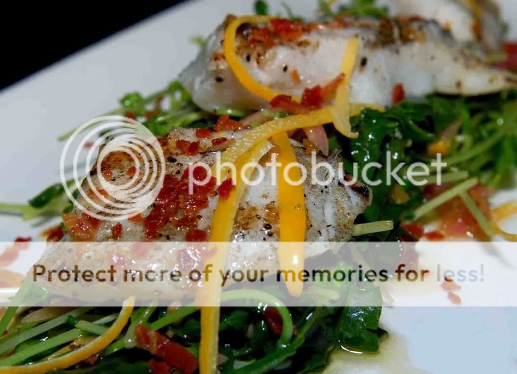 grilledhalibutfillets.jpg