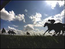 _47760709_guineas.jpg