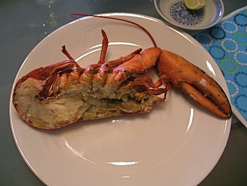 3728877760_64754d3be4.jpg