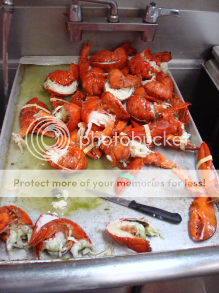 lobsteratvegas.jpg