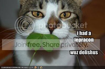 leprechauncat-1.jpg