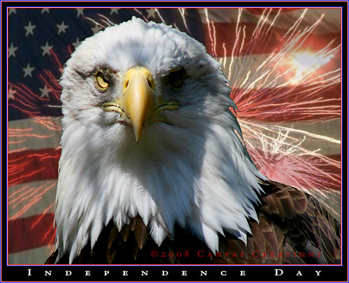 2634540569_eb259c425c.jpg