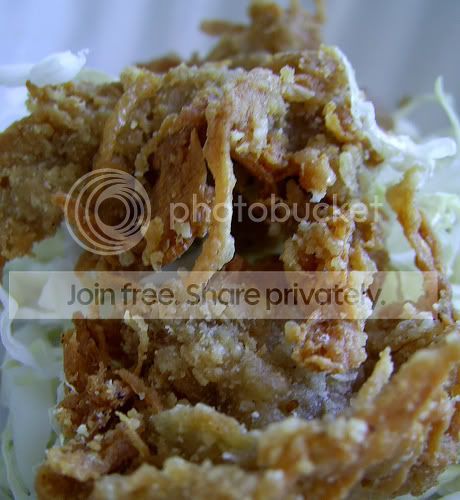 vegeshreddedchicken.jpg