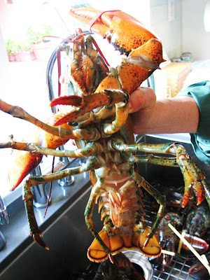 lobster+fest+014.JPG